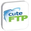 CuteFTP для Windows 8