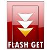 FlashGet для Windows 8