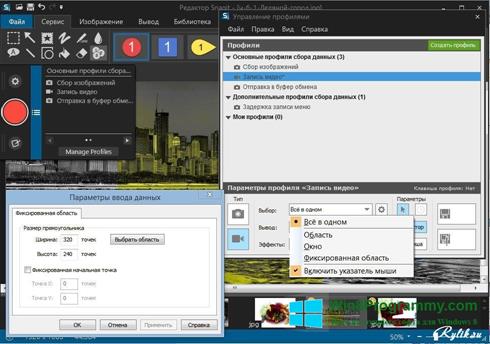 Скриншот программы Snagit для Windows 8