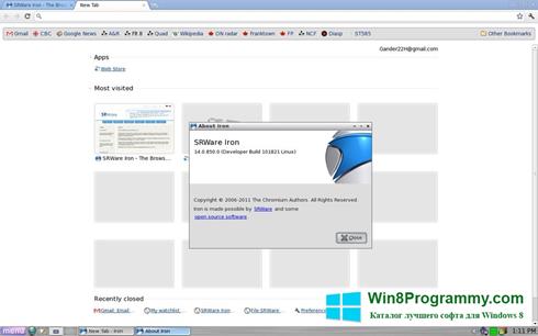 Скриншот программы SRWare Iron для Windows 8