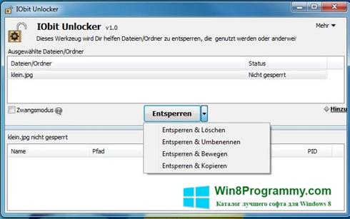 Скриншот программы IObit Unlocker для Windows 8