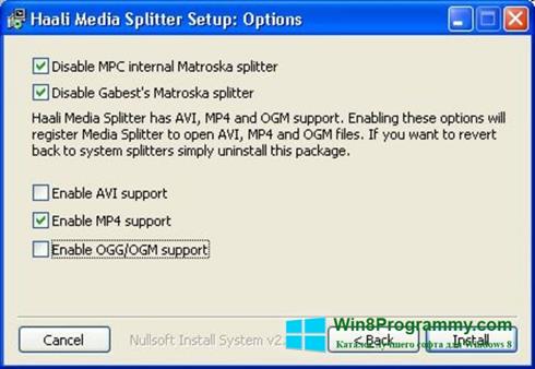 Скриншот программы Haali Media Splitter для Windows 8