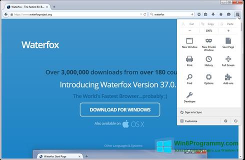 Скриншот программы Waterfox для Windows 8