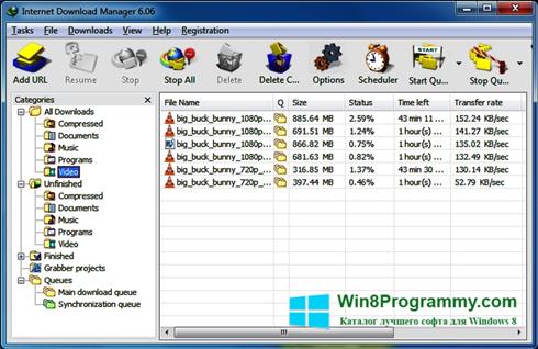 Скриншот программы Internet Download Manager для Windows 8