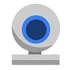 Webcam Surveyor для Windows 8