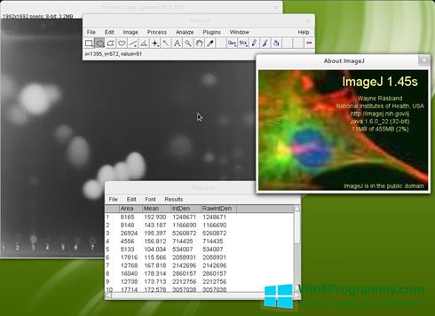 Скриншот программы ImageJ для Windows 8