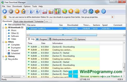 Скриншот программы Free Download Manager для Windows 8