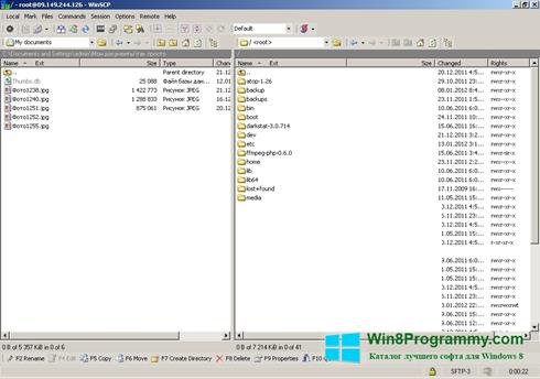 Скриншот программы WinSCP для Windows 8