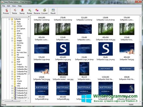 Скриншот программы Easy Photo Editor для Windows 8