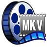 MKV Player для Windows 8