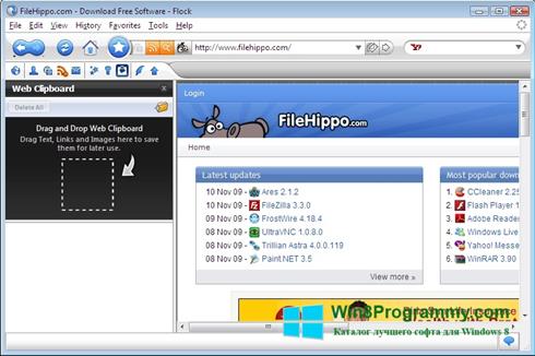 Скриншот программы Flock для Windows 8