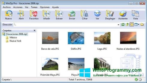 Скриншот программы WinZip для Windows 8