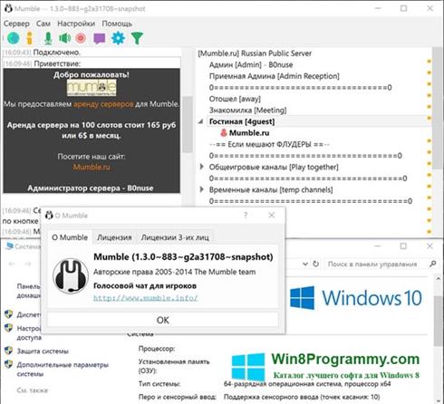 Скриншот программы Mumble для Windows 8