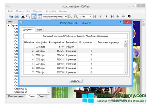 Скриншот программы DjView для Windows 8