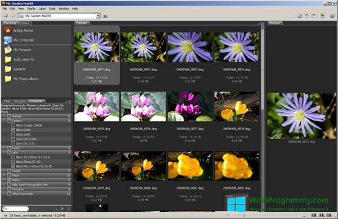 Скриншот программы Adobe Bridge для Windows 8