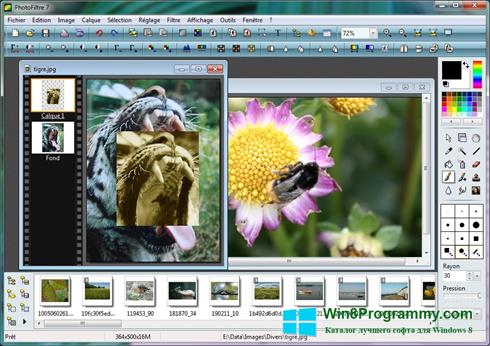 Скриншот программы PhotoFiltre для Windows 8