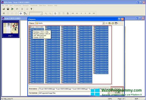 Скриншот программы DjVu Viewer для Windows 8