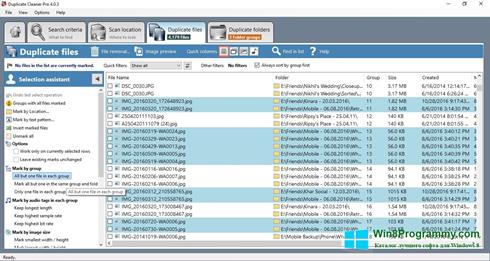Скриншот программы Duplicate Cleaner для Windows 8
