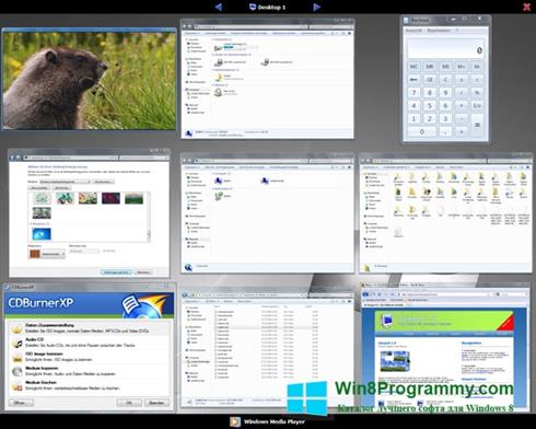 Скриншот программы Dexpot для Windows 8