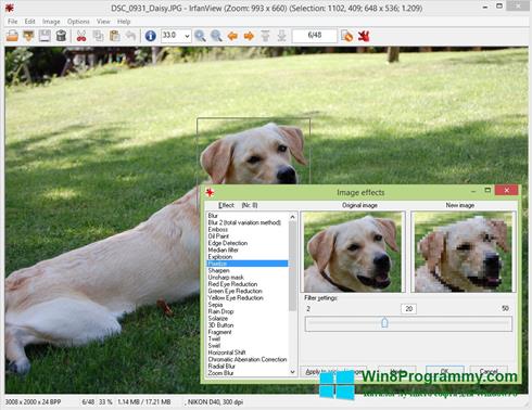 Скриншот программы IrfanView для Windows 8