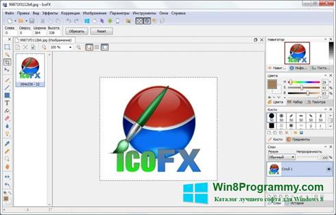 Скриншот программы IcoFX для Windows 8