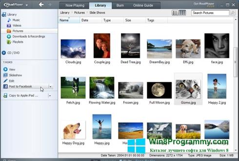 Скриншот программы RealPlayer для Windows 8